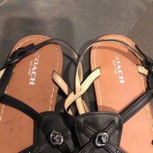 Coach Shoes - Coach black sandals Coach Shoes - Coach black sandals